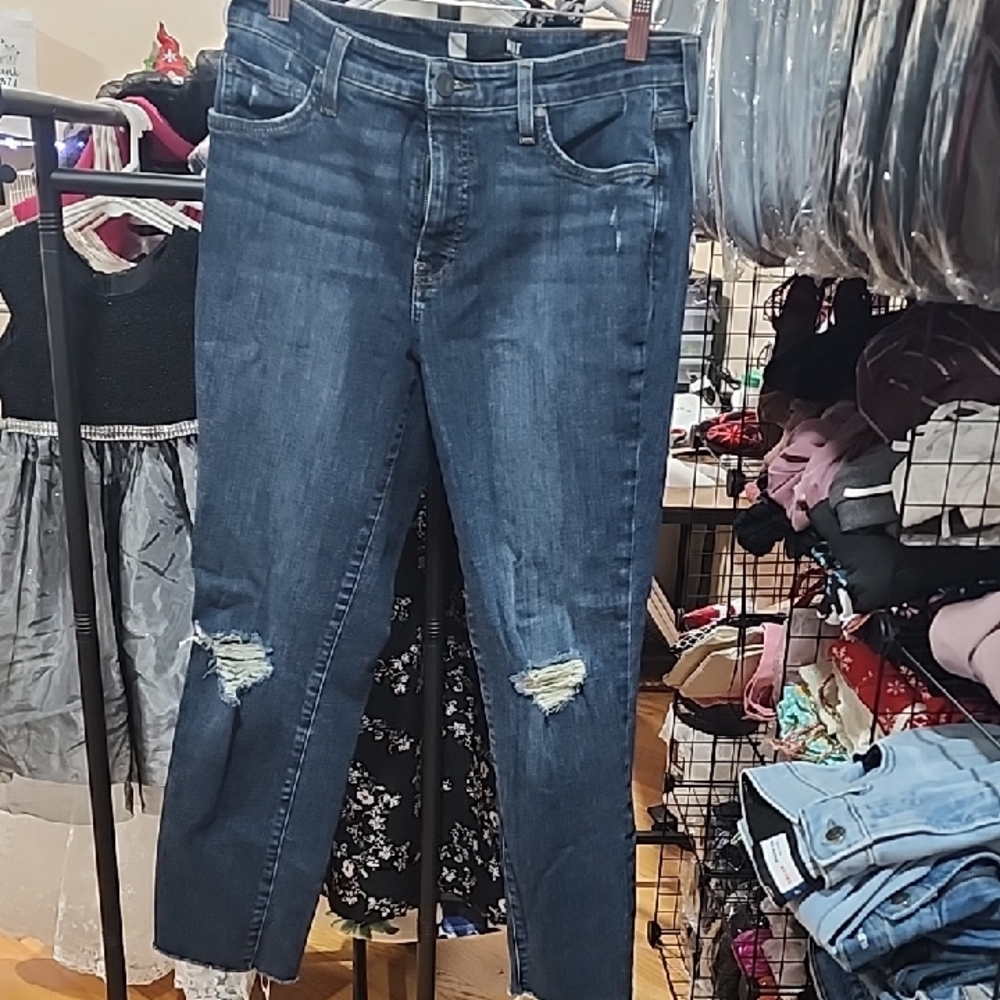 Kut from the Kloth Blue Ankle Cropped Jeans